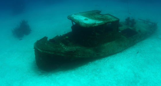 papa doc grand bahama diving